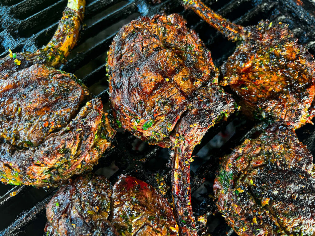 Grilled Venison 