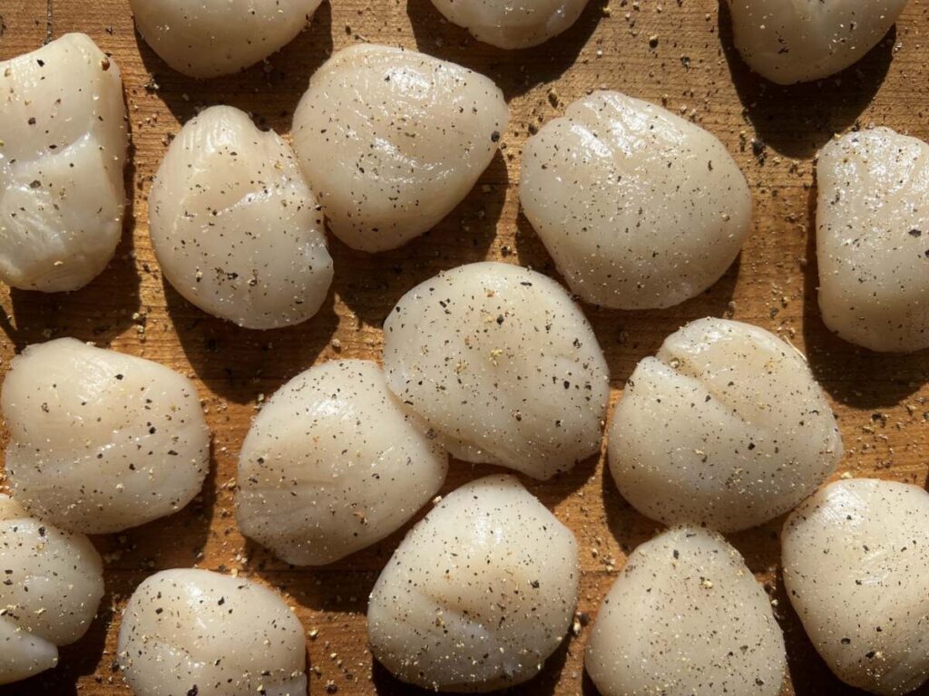 Seasoned Scallops 